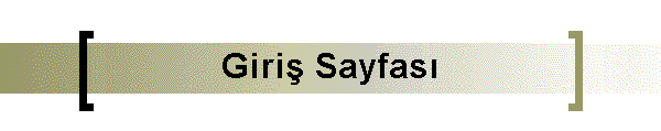 Giri Sayfas